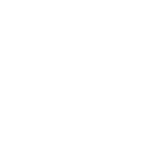 Biznet