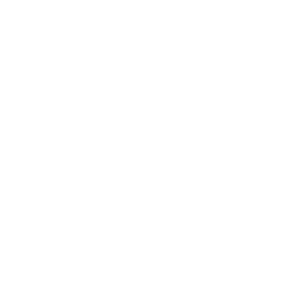 Nanovest