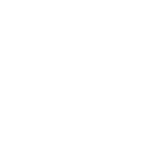 Precision Gym